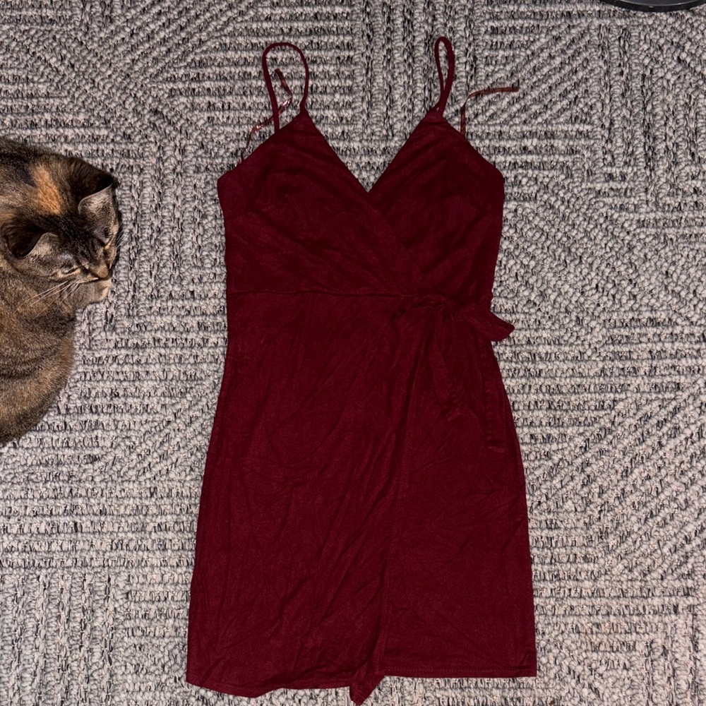 Windsor Burgundy Mini Dress with Spaghetti Straps